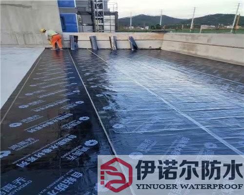 浙江蘇州屋面防水